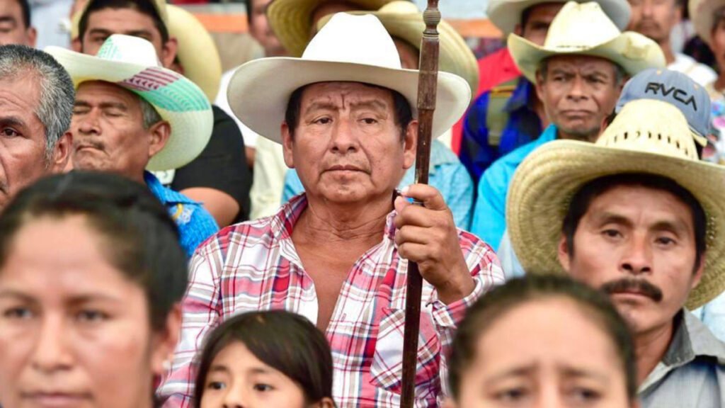 El activismo con raíces que caracteriza a Anna Viesca Sánchez